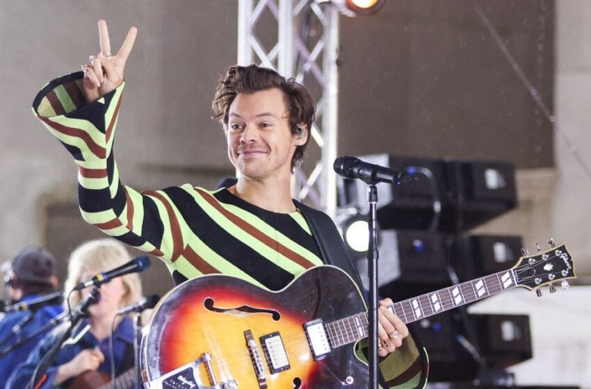  A College in Texas Will Be Offering a Harry Styles Course