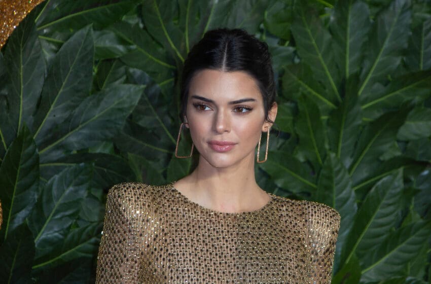 Kendall Jenner Trolls Herself In Cucumber Halloween Costume - Your ...