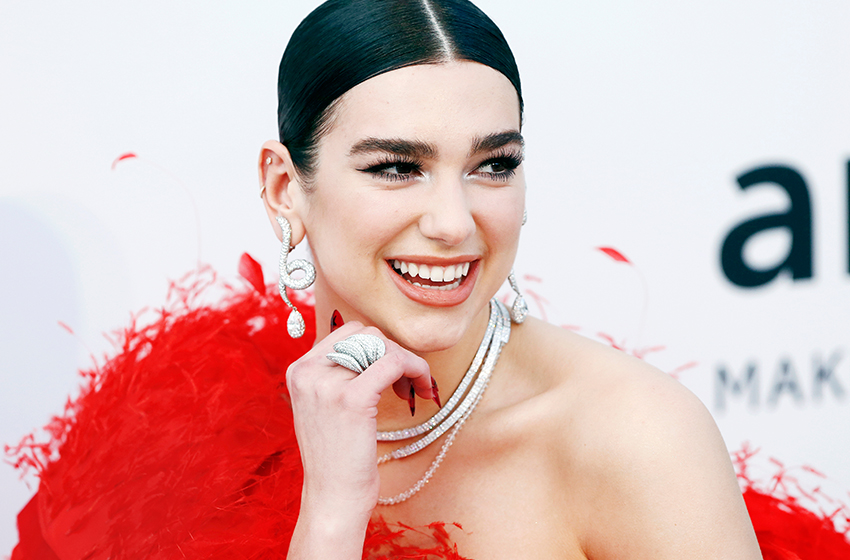  Dua Lipa’s Ex’s Disturbing Instagram Messages Spark Concerns As Singer Goes Public With New Beau