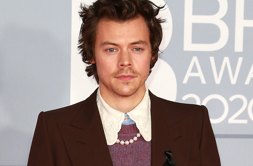  From Grammys To Backstage: Harry Styles And “Grammy Granny” Share Magical Moment