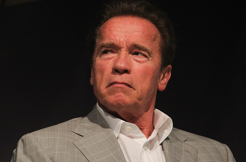  Arnold Schwarzenegger Reflects On Past Marriage With Ex-Wife Maria Shriver