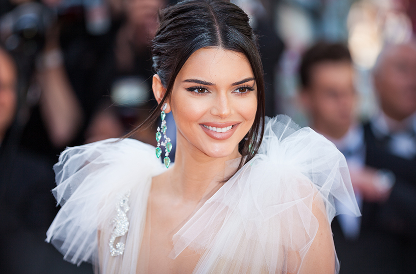  Kendall Jenner Is Taking Heat Online After She Seemingly Snubs a Fan