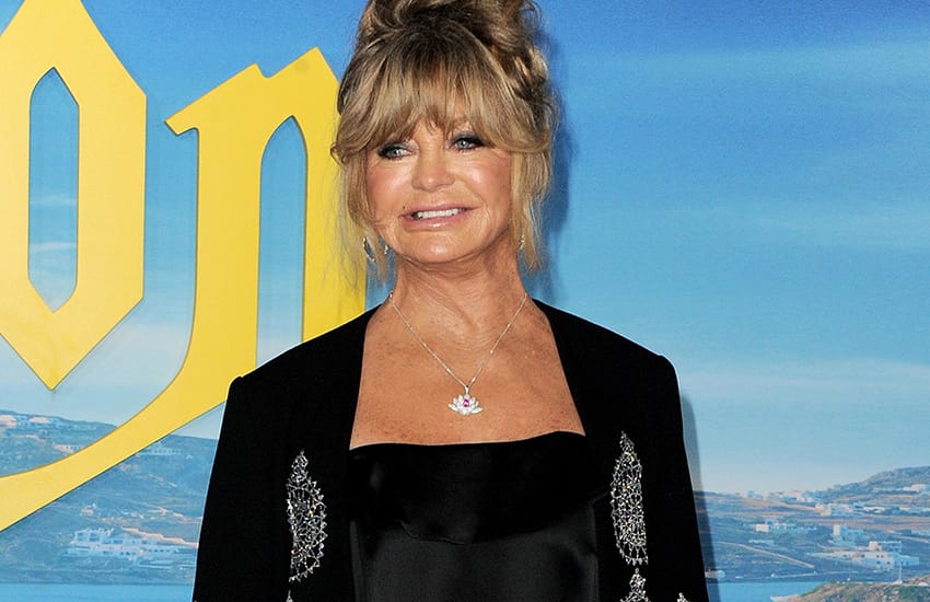  Goldie Hawn Dreams Of A Family Movie Project: “It Would Be So Fun”