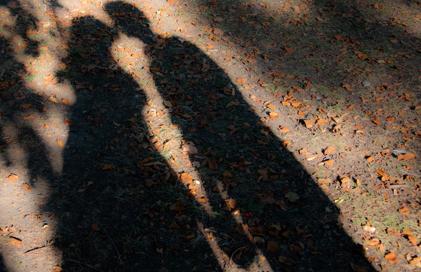  Romantic Stories Offer a Feel-Good Escape